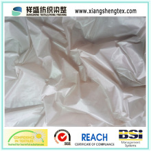 100% Nylon Downproof Nylon Fabric for Down Garment